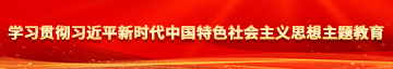 我要看日逼片学习贯彻习近平新时代中国特色社会主义思想主题教育